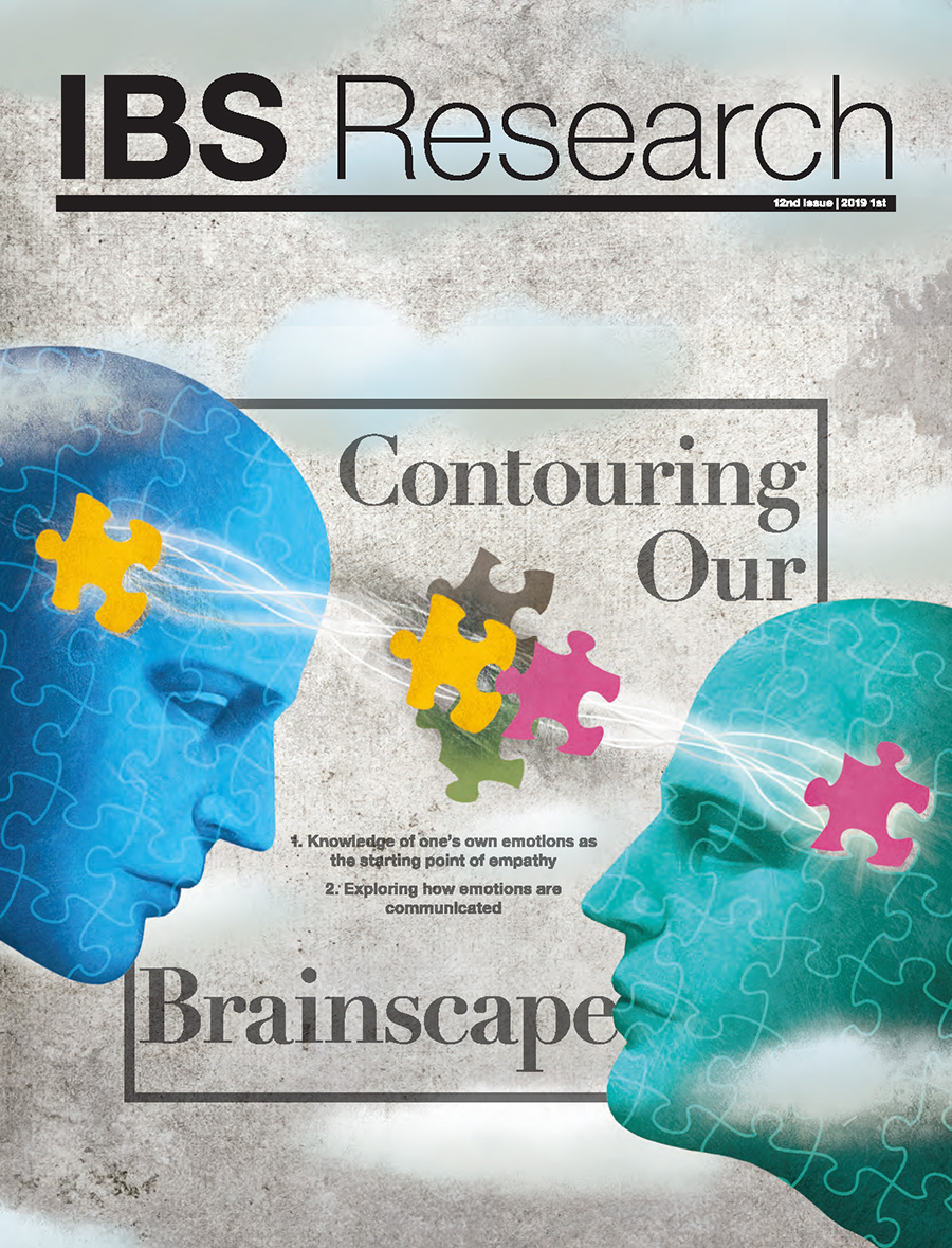 IBS Research 12th