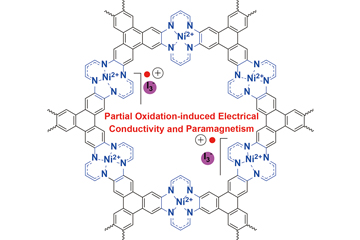 Novel sponge-like 2D material with interesting electrical conductivity and magnetic properties