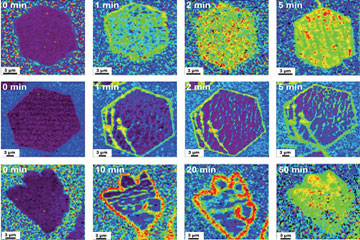 Compressive stress in single crystal graphene drives chemistry on the graphene surface