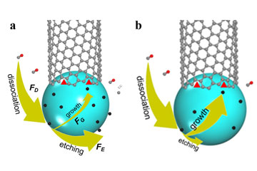 Growing carbon nanotubes with the right twist