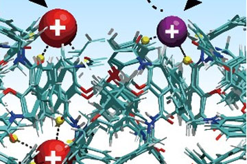 Sensitive and specific potassium nanosensors to detect epileptic seizures