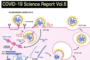 Coronavirus resembles a parasite: Treatment strategy to prevent replication
