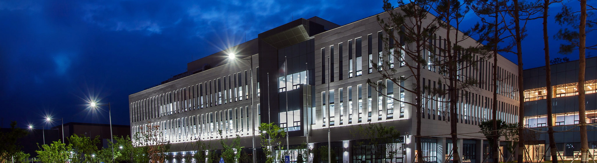 IBS now accepting Letter of Intent for 2020 Young Scientist Fellowship