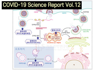 How can chloroquine, a potential candidate for COVID-19 treatment, work against the virus?