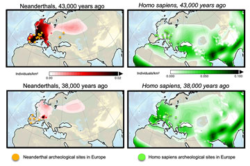 Supercomputer model simulations reveal cause of Neanderthal extinction