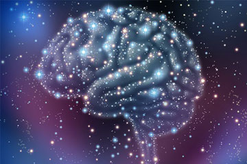 뇌 속 별세포가 촉감의 민감도를 조절한다