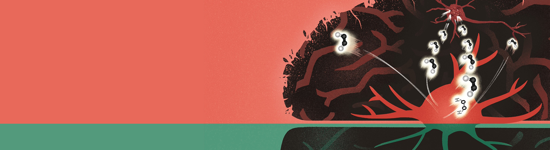 Overly reactivated star-shaped cells explain the unpredictability of Alzheimer’s disease