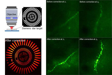 Scientists invent a new type of microscope that can see through an intact skull
