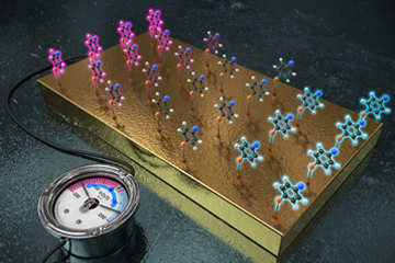 One electrode fits all functional groups