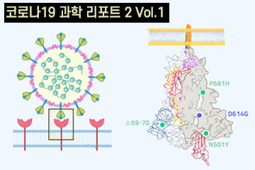 코로나19 바이러스 변이체 위협적인가?