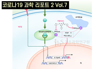 약물 재지정을 통한 코로나19 치료제 발굴: 아필리모드