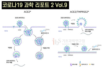 자연에서 발견한 코로나19 치료 후보물질