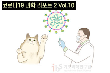우리 집 개와 고양이가 코로나19를 옮길 위험이 있을까