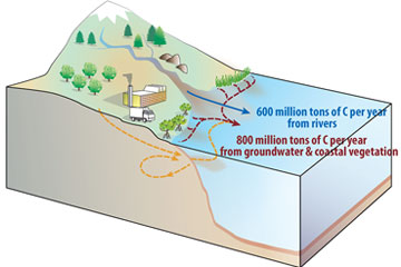 Twice as much carbon flowing from land to ocean than previously thought