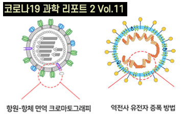코로나19 감염 여부를 신속·정확하게 진단하는 새로운 방법