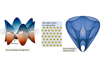 The exotic and the common: a new bridge between topological and soft matter