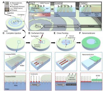Highly conductive and elastic nanomembrane for skin electronics