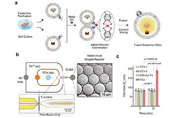 Scientists explore the creation of artificial organelles