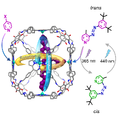 Boxing up molecular machines