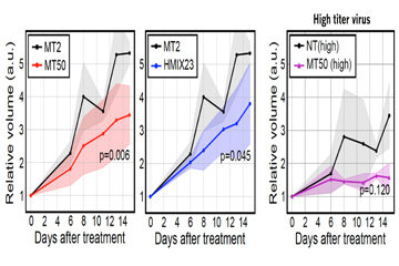 Scientists develop a new platform technology for personalized cancer therapy