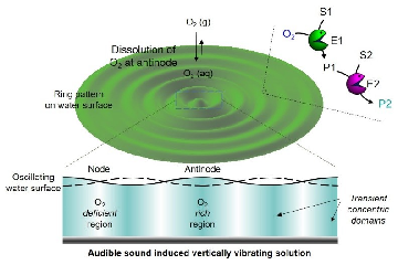 Using sound to control enzymatic reactions