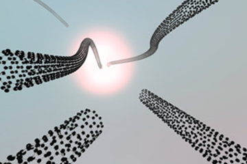 A new angle on carbon-nanotube growth