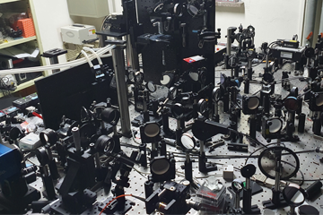 A new holographic microscope allows scientists to see through the skull and image the brain