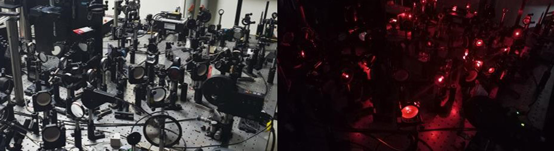 A new holographic microscope allows scientists to see through the skull and image the brain