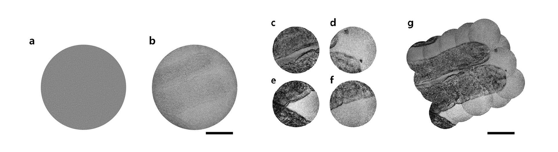 The invention of a flexible ultra-thin endoscope thinner than a needle