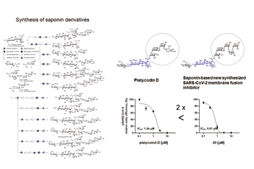 Antiviral substances discovered within native plants in South Korea