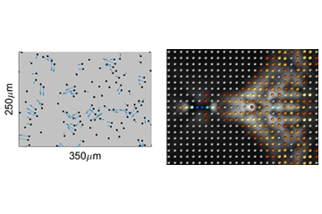 Scientists observe “quasiparticles” in classical systems for the first time