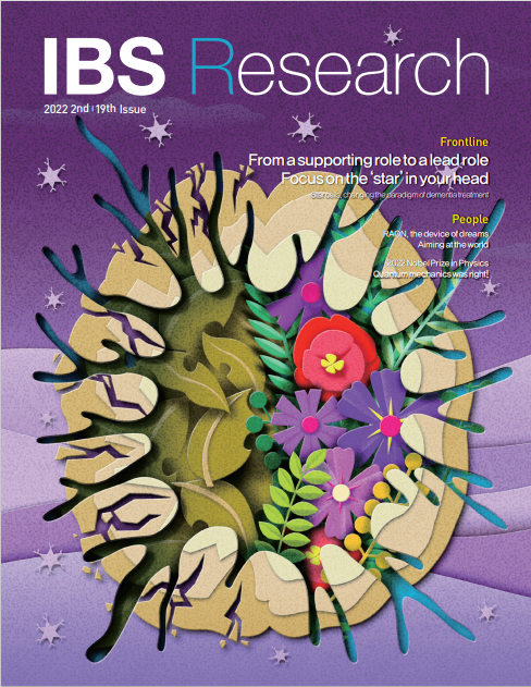 IBS Research 19th