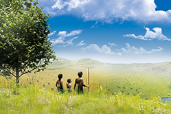 Human ancestors preferred mosaic landscapes and high ecosystem diversity