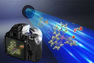 Observing the long-postulated intermediate of catalytic amination reactions