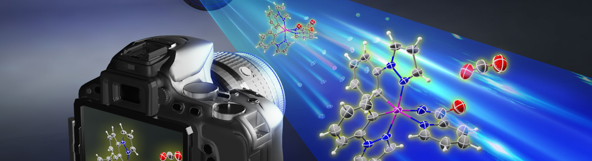 Observing the long-postulated intermediate of catalytic amination reactions