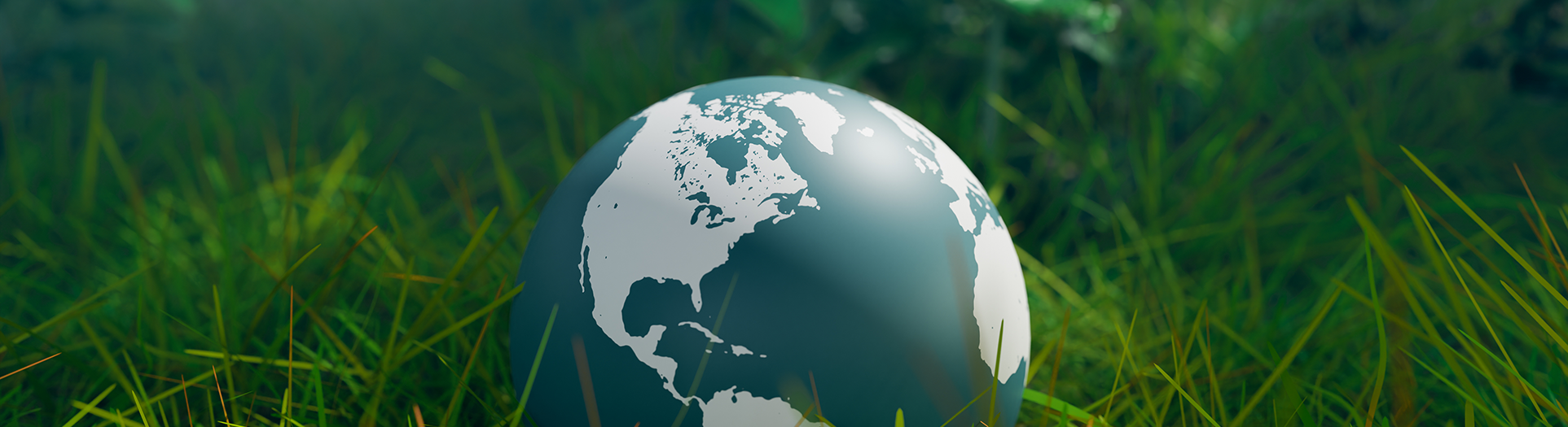 Discovery of a new form of carbon called Long-range Ordered Porous Carbon (LOPC)