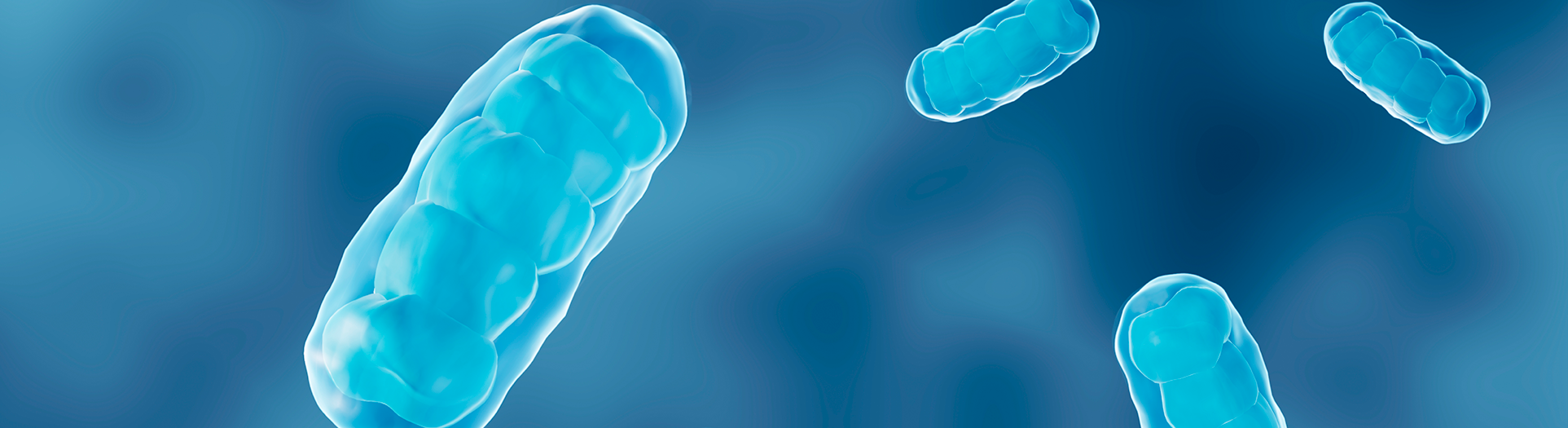 A new era of mitochondrial genome editing has begun