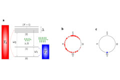 Unveiling synchronization preferences of quantum thermal machines