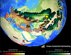 A climate-orchestrated early human love story