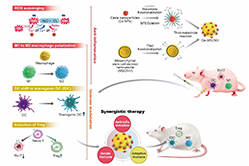 New nanoparticles found to be effective for the treatment of rheumatoid arthritis
