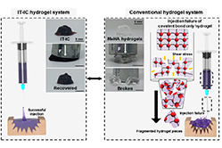 New “injectable tissue prosthesis coupled with closed-loop bioelectronic system” to aid in damaged muscle/nerve regeneration and robot-assisted rehabilitation