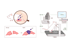 ‘조직 재생 필러’로 빠른 로봇 재활 가능성 열었다