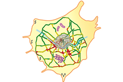 Visualizing “traffic jams” inside living cells