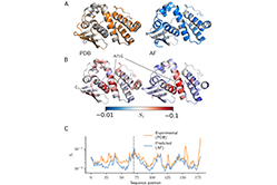 Testing the limits of AlphaFold2’s accuracy in predicting protein structure