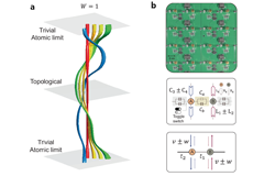 Unlocking the Secrets of Topological Matter in Open Systems: Discovering a Non-Hermitian Hopf Bundles