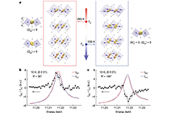 Discovery of magnetic liquid crystal