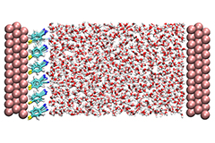 세계 최초, 전압에 따라 달라지는 물 분자 움직임 관찰