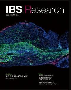 IBS Research 20th