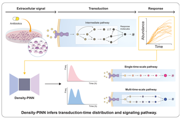 Machine learning reveals sources of heterogeneity among cells in our bodies