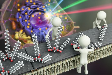 세포의 ‘식료품 창고’에서 벌어지는 일 실시간 관찰